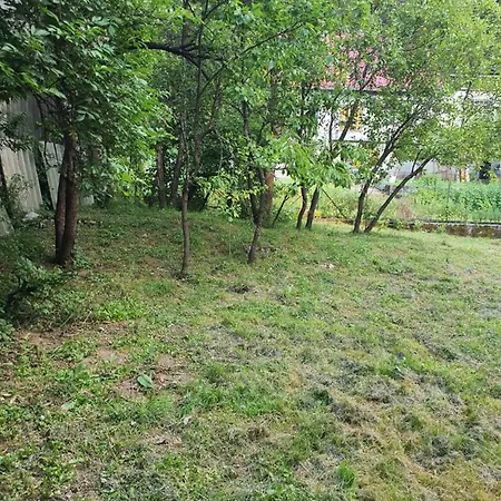 Apartament Runolist Delnice