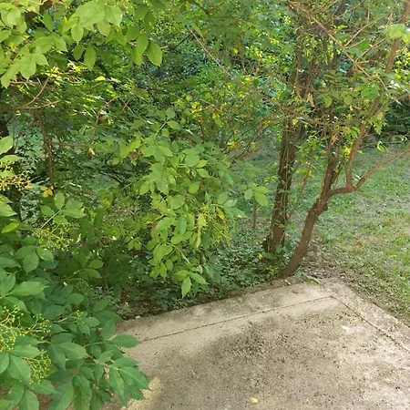 Apartament Runolist *