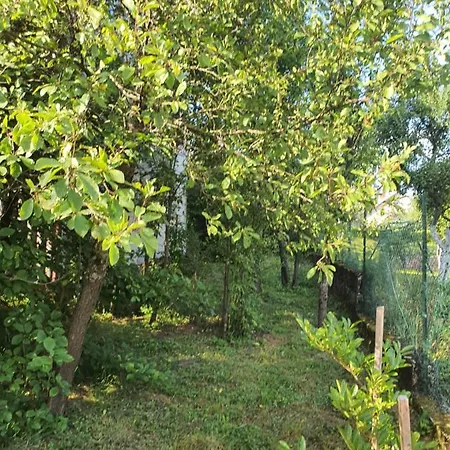 Apartament Runolist Delnice