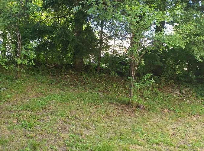 Runolist Делнице